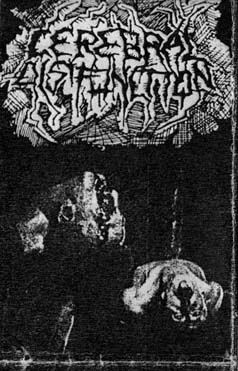 Sensations of Nausea